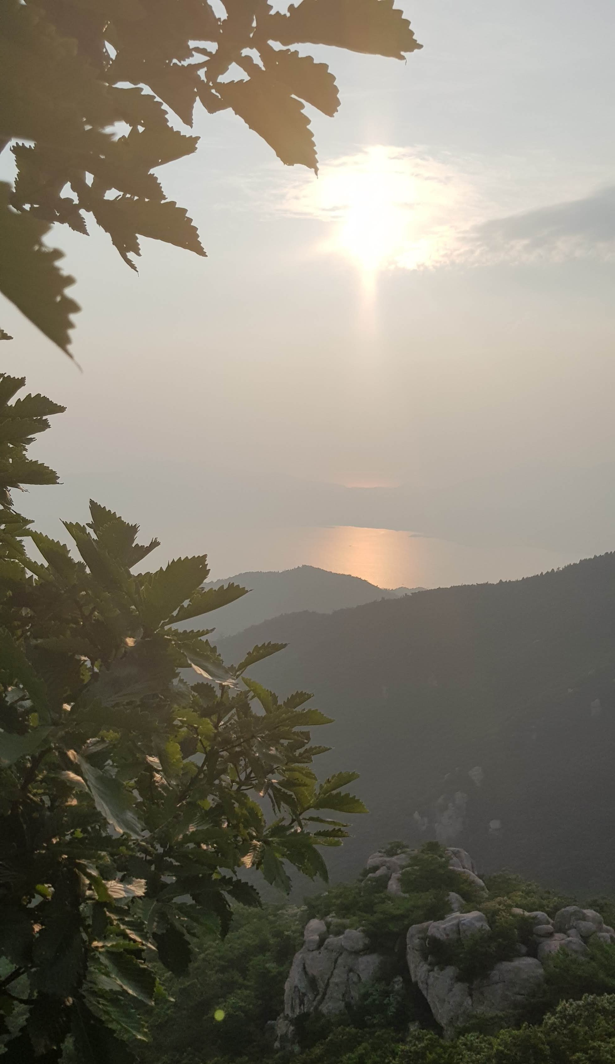 20190805_182742